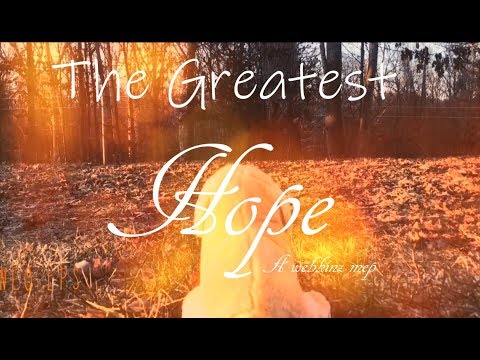 The Greatest Hope | Complete Webkinz Mep