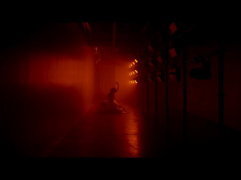 비디오 11
