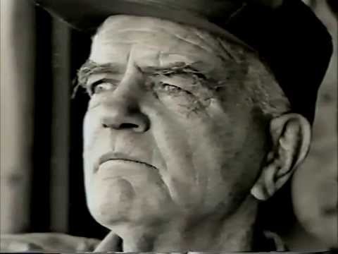 Wrath of God: Halsey's Typhoons - Peril on the Sea (2000)