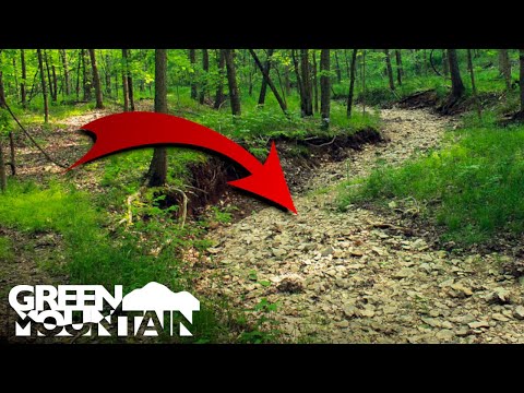 This Dry Riverbed Was Hiding a 200-Year-Old Coin!