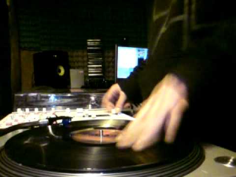 Lokalne koty - Pijak (Joes studio)