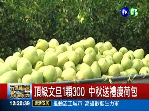 頂級文旦一顆300元 民眾吃不消