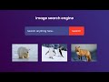How To Create Image Search Engine Using HTML CSS and JavaScript