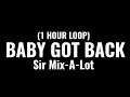 Sir Mix-A-Lot - Baby Got Back (1 HOUR LOOP) I wanna get you home and ugh double up ugh [Tiktok Song]
