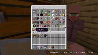マイクラ
