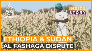What's reigniting a border dispute between Ethiopia & Sudan?