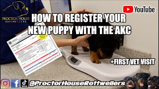 How To Register Your New Puppy With  AKC
