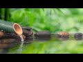 Shishi Odoshi in Japanese Zen Garden | Relaxing Music, Meditation Music, Sleep Music, Yoga, Zen