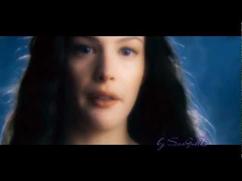 Lord of the Rings - Arwen & Haldir