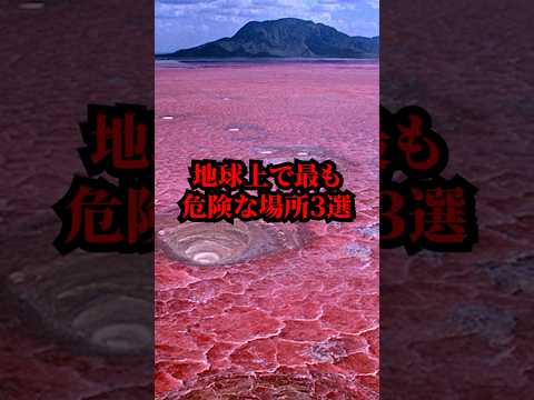 園芸 カミフォリア園の自然管理