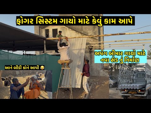 Gau Seva