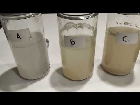 Comparing Turbo Yeast, Bakers Yeast and EC1118 - Fail