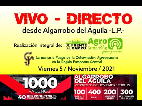 REMATE FERIA en ALGARROBO del ÁGUILA -SUBASTÓ: N.H.F. S.A.-. VIE. 5 / NOV. / 2021-.