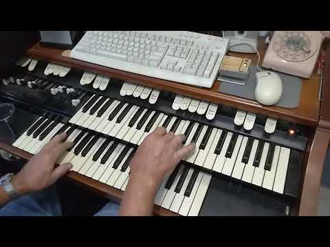 Rich Fontana -  At The Cod Fish Ball