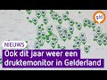 Toeristen in Gelderland kunnen weer checken hoe druk het ergens is