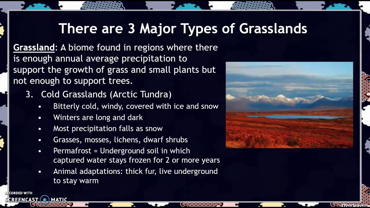 APES PPT Video Notes: Ch. 7-2
