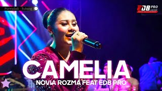 Download lagu CAMELIA - NOVIA ROZMA Feat EDB PRO - PURWADADI SUBANG mp3