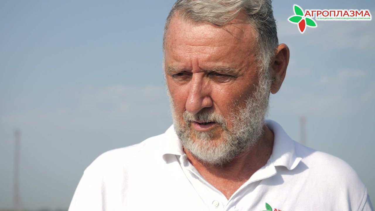 Агроплазма