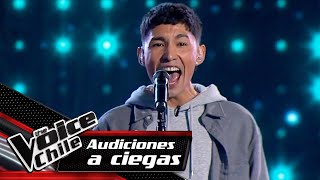 Pablo Rojas - En el silencio negro de la noche | Audiciones a Ciegas | The Voice Chile