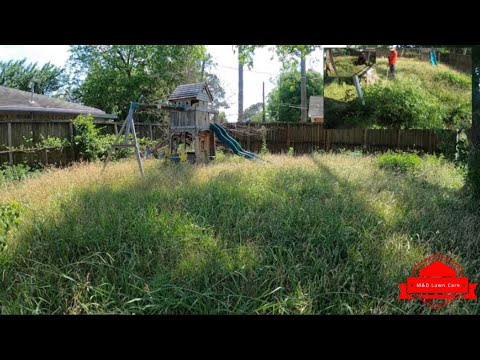 Cutting Insanely Overgrown CITY VIOLATION Backyard (ONE OF THE WORST WE’VE DONE)