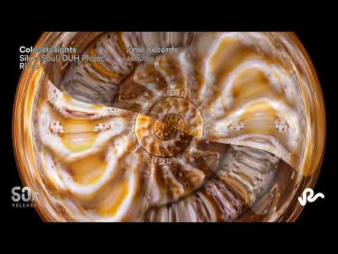 Silvio Soul, DUH Project, Rivvo - Coldest Nights