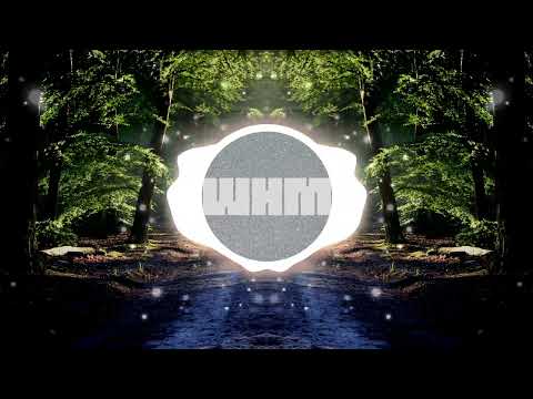 Fall Away (WHM remix) - Iron Bell Music