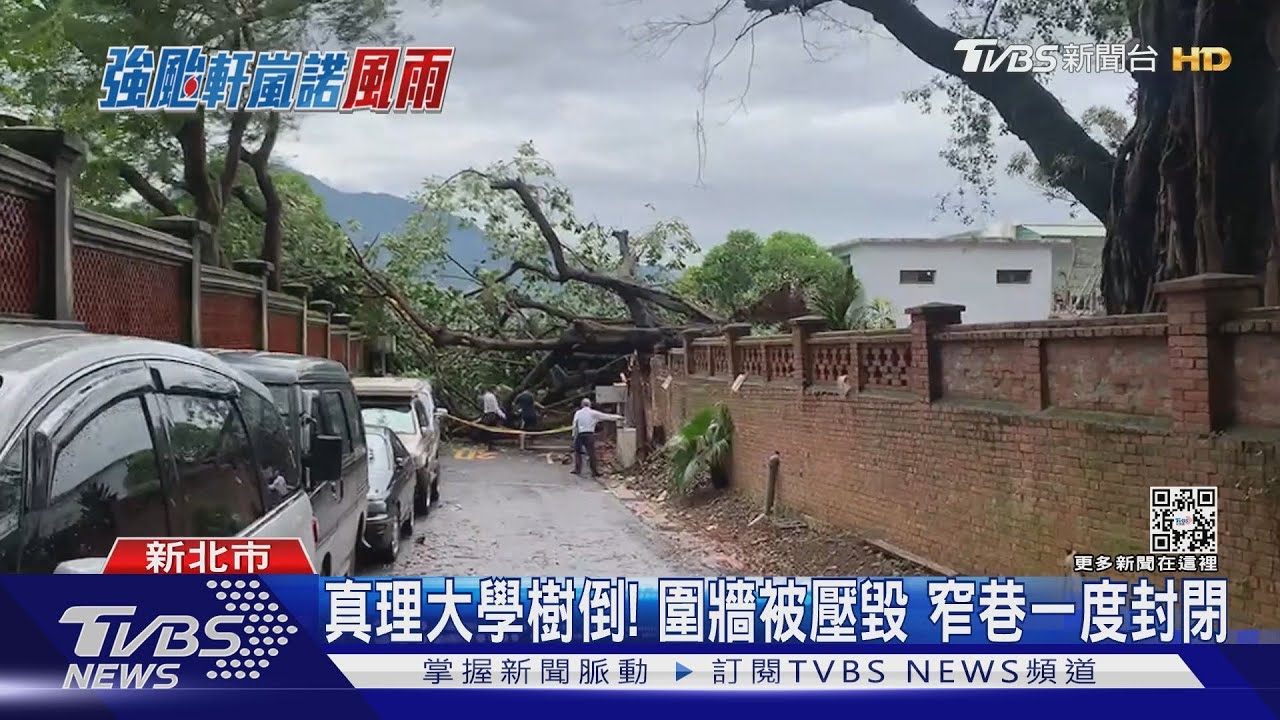 真理大學樹倒! 圍牆被壓毀窄巷一度封閉