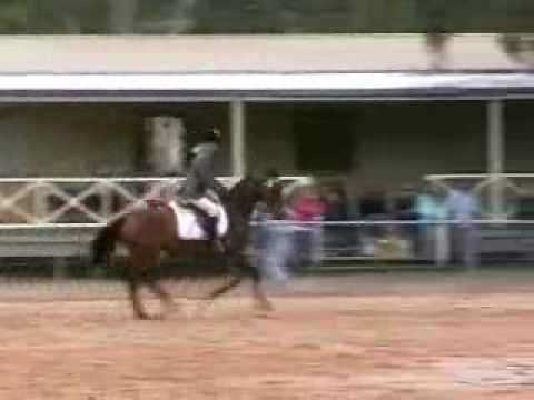 Gidgegannup Ag Show 2008 Showjump 75cm AM7
