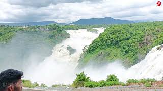 Gaganachukki waterfalls in rainy season | Malavalli