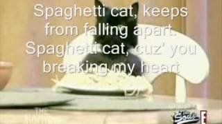 Spaghetti Cat - I Weep For You (Full Lyrics On-Screen)