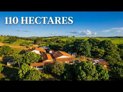 110 Hectares Perto de Montes Claros. #fazendaavenda #gado #agro