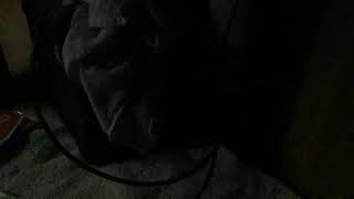 コロナになって死ねない　改造人間だから