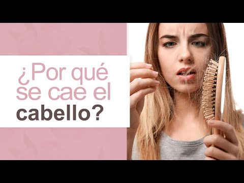 , title : '¿Por qué se cae el cabello? l  Dra. María Clara Mejía'