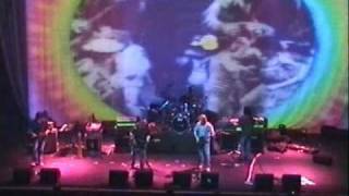 The bevis frond - Maybe live..wmv