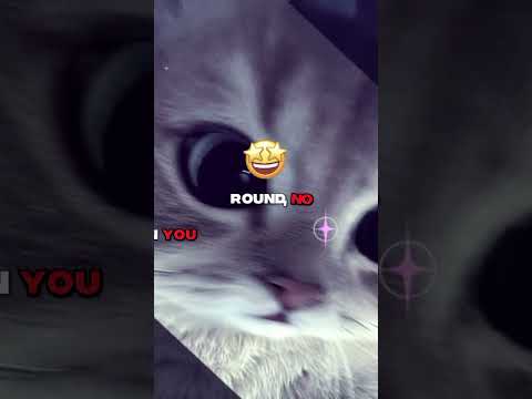 Bounce & Pa Bkb || Vian DTM