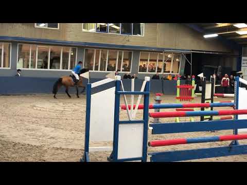 6yo Ibis by Eldorado vd Zeshoek x Fuego du Prelet @ his first 1.20m Franeker