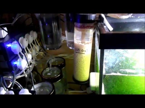 Quick Tip For Bio Pellet Users | Reef Tank