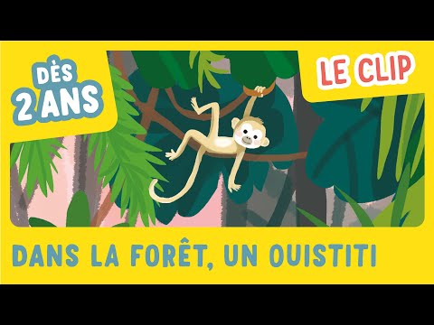 Dans la forêt un Ouistiti le clip ! Mon imagier des comptines de la maternelle - Gallimard Jeunesse