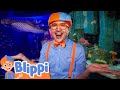 Blippi S Aquarium Adventure Learn About Fish NEW Captioned Videos Blippi Preschool