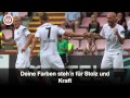 [SVWW] Die SV Wehen Wiesbaden Fan-Hymne [SV Wehen Wiesbaden]