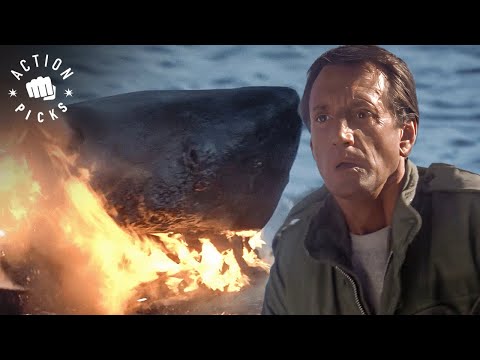 Final Showdown with the Shark | Jaws 2