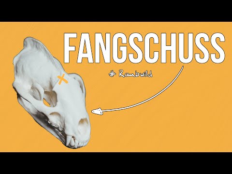 Freunde der Jagd - Folge 23 - Fangschuss I Fallenjagd