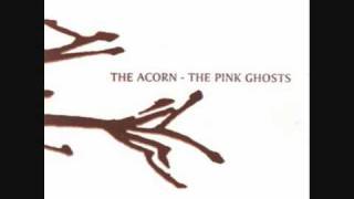 The Acorn - Darcy