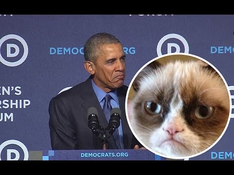 Obama mocks 'Grumpy Cat' Republicans
