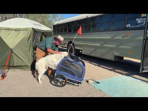 Passt er rein? Und ein Thanksgiving-Fest in Quartzsite.