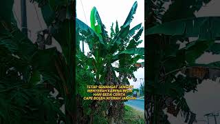 Download lagu semoga yg membaca selalu di permudah segala urusan nya ,di beri rijki yg berkah ,amiiin #fyp mp3 Download lagu semoga yg membaca selalu di permudah segala urusan nya ,di beri rijki yg berkah ,amiiin #fyp mp3