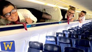 The Craziest Things People Have Done on Airplanes!