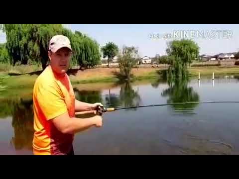 Fishing at Midstream Estates South Africa Big Vleikurper and decent Bass