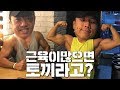 근육이 많으면 토끼일까???