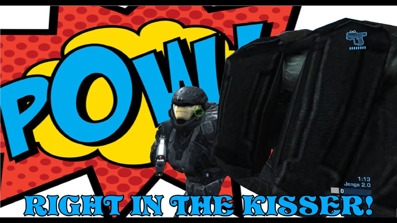 Certified Seagull Moments